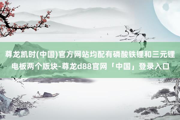 尊龙凯时(中国)官方网站均配有磷酸铁锂和三元锂电板两个版块-尊龙d88官网「中国」登录入口