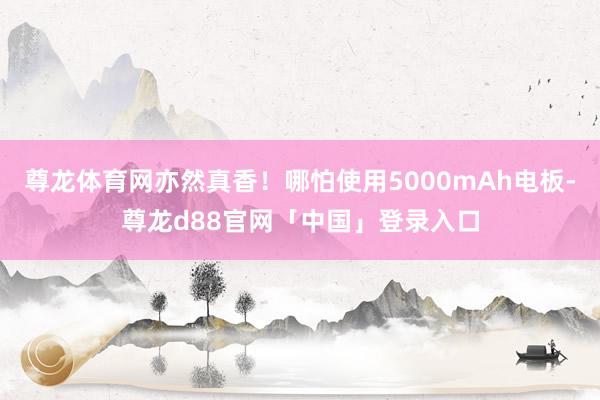 尊龙体育网亦然真香！哪怕使用5000mAh电板-尊龙d88官网「中国」登录入口